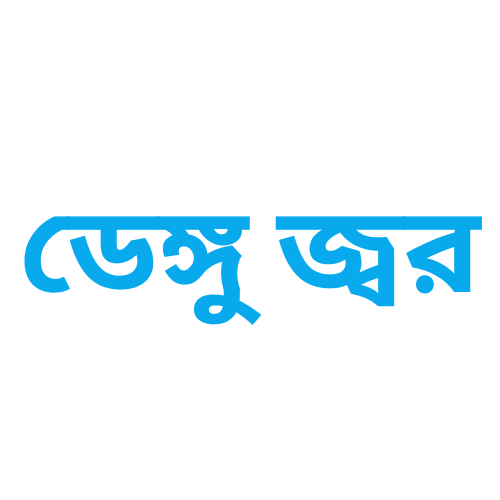ডেঙ্গু জ্বর